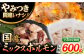 国産 長崎和牛 和牛 ホルモン ホルモンミックス 牛肉 ほるもん 冷凍 小分け 真空パック 塩 味付き 味付け 焼肉 定期便