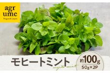 水耕栽培 モヒートミント 約50g×2袋 長与町/アグリューム [EAI126] ミント みんと ハーブ はーぶ ハーブティー