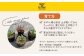 アロエ セット あろえ 植物 グリーン
