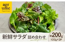 水耕栽培 新鮮サラダ野菜の詰め合わせセット 約100g×2袋 長与町/アグリューム [EAI128] 新鮮 野菜 サラダ さらだ セット 詰め合わせ