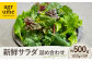 新鮮 野菜 サラダ さらだ セット 詰め合わせ