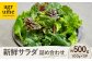 新鮮 野菜 サラダ さらだ セット 詰め合わせ