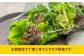 新鮮 野菜 サラダ さらだ セット 詰め合わせ