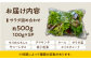 新鮮 野菜 サラダ さらだ セット 詰め合わせ