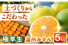【自然の力を活かした栽培】温州みかん（極早生） 5kg -2024年10月中旬より発送- 長与町/農事組合法人希望種（きぼうのたね） [ECQ001] みかん ミカン 柑橘 温州みかん 果物 くだもの フルーツ 長崎みかん 長与みかん 極早生みかん 5kg