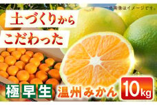 【自然の力を活かした栽培】温州みかん（極早生） 10kg -2024年10月中旬より発送- 長与町/農事組合法人希望種（きぼうのたね） [ECQ002] みかん ミカン 柑橘 温州みかん 果物 くだもの フルーツ 長崎みかん 長与みかん 極早生みかん 10kg