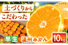 【自然の力を活かした栽培】温州みかん（早生） 10kg  -2024年11月中旬より発送- 長与町/農事組合法人希望種（きぼうのたね） [ECQ004] みかん ミカン 柑橘 温州みかん 果物 くだもの フルーツ 長崎みかん 長与みかん 早生みかん 10㎏