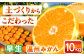 みかん ミカン 柑橘 温州みかん 果物 くだもの フルーツ 長崎みかん 長与みかん 早生みかん 10㎏