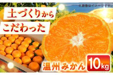 【自然の力を活かした栽培】温州みかん（普通） 10kg -2024年12月下旬より発送- 長与町/農事組合法人希望種（きぼうのたね） [ECQ006] みかん ミカン 柑橘 温州みかん 果物 くだもの フルーツ 長崎みかん 長与みかん 10㎏