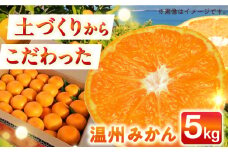 【自然の力を活かした栽培】温州みかん（普通） 5kg -2024年12月下旬より発送- 長与町/農事組合法人希望種（きぼうのたね） [ECQ005] みかん ミカン 柑橘 温州みかん 果物 くだもの フルーツ 長崎みかん 長与みかん 5㎏