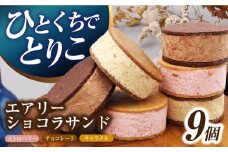 エアリーショコラサンド 9個入り（チョコレート/ストロベリー/キャラメル各3個）長与町/CAKE SHOP FAVORI [EBV049] クッキーサンド ショコラサンド デザート スイーツ クッキー チョコレート ストロベリー 焼き菓子 洋菓子 お菓子 おやつ すいーつ くっきー セット 詰め合わせ 詰合せ ギフト  定期便