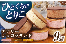 エアリーショコラサンド 9個入り（チョコレート/ストロベリー/キャラメル各3個）長与町/CAKE SHOP FAVORI [EBV049] クッキーサンド ショコラサンド デザート スイーツ クッキー チョコレート ストロベリー 焼き菓子 洋菓子 お菓子 おやつ すいーつ くっきー セット 詰め合わせ 詰合せ ギフト  定期便