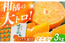 ハウスせとか約3kg（12-15玉）【化粧箱】ー2025年3月より発送ーJAじげもん長与直売所 [EAF005] 柑橘 みかん せとか 果物 くだもの フルーツ おすすめ 高級 人気 期間限定 数量限定 ご当地 3kg 贈答用せとか 化粧箱 ギフト