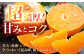 化粧箱 せとか 3kg みかん