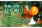 化粧箱 せとか 3kg みかん