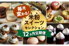 スイーツ 定期便 【12回定期便】米粉のおやつが毎月届く！グルテンフリーのスイーツ1年定期便（大容量） 長与町/Lilla Lotta（ﾘﾗﾛｯﾀ） [EBR056] 詰め合わせ つめあわせ セット ぐるてんふりー グルテンフリースイーツ すいーつ 米粉 こめこ お菓子 ケーキ クッキー クッキーサンド ばたーさんど 冷凍 個包装 人気 ランダム おかし 定期便 定期 ていきびん