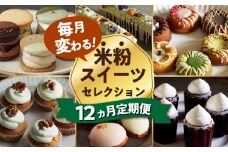 スイーツ 定期便 【12回定期便】米粉のおやつが毎月届く！グルテンフリーのスイーツ1年定期便（大容量） 長与町/Lilla Lotta（ﾘﾗﾛｯﾀ） [EBR056] 詰め合わせ つめあわせ セット ぐるてんふりー グルテンフリースイーツ すいーつ 米粉 こめこ お菓子 ケーキ クッキー クッキーサンド ばたーさんど 冷凍 個包装 人気 ランダム おかし 定期便 定期 ていきびん