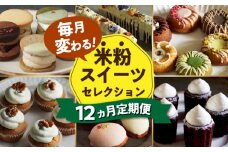 スイーツ 定期便 【12回定期便】米粉のおやつが毎月届く！グルテンフリーのスイーツ1年定期便 長与町/Lilla Lotta（ﾘﾗﾛｯﾀ） [EBR055] 詰め合わせ つめあわせ セット ぐるてんふりー グルテンフリースイーツ すいーつ 米粉 こめこ お菓子 ケーキ クッキー クッキーサンド ばたーさんど 冷凍 個包装 人気 ランダム おかし 定期便 定期 ていきびん