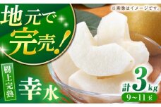 【産地直送】幸水（優品）3kg箱 L-3Lサイズ（9-11個）ー2025年8月より発送ー 長与町/つじ梨園 [ECO001] 梨 なし ナシ 幸水 こうすい 果物 フルーツ 3㎏ 優品 産地直送