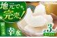 梨 なし ナシ 幸水 こうすい 果物 フルーツ 3㎏ 優品 産地直送