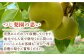 梨 なし ナシ 幸水 こうすい 果物 フルーツ 3㎏ 優品 産地直送