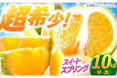 【樹上完熟】スイートスプリング（秀品）10kg箱 M-2L ー2025年1月末より発送ー 長与町/つじ梨園 [ECO003] 柑橘 スイートスプリング すいーとすぷりんぐ 完熟 10㎏ 大容量 みかん 九州みかん ミカン 希少 産地直送