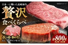 【7日程度発送】 ステーキ 【A4-A5】長崎和牛 ヒレ・サーロインセット 計800g （ヒレ約150g×2枚・サーロイン約250g×2枚） 長与町/meat shop FUKU [ECS049] ステーキ肉 国産 冷凍 牛肉 ヒレ ひれ サーロイン さーろいん すてーき ステーキ ステーキ肉 a4 a5 4枚 スピード 最短 最速 発送 長崎和牛 人気 おすすめ FUKU A5 九州 長崎 
