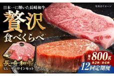 【12回定期便】 ステーキ 【A4-A5】長崎和牛 ヒレ・サーロインセット 計800g （ヒレ約150g×2枚・サーロイン約250g×2枚） 長与町/meat shop FUKU [ECS052]ステーキ肉 国産 冷凍 牛肉 ヒレ ひれ サーロイン さーろいん すてーき ステーキ ステーキ肉 a4 a5 4枚 定期