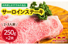 長崎和牛 サーロインステーキ 250g×2枚 長与町/ワタナベ商店 [ECT009] 国産 長崎和牛 和牛 サーロインステーキ サーロイン ステーキ さーろいん 2枚 牛肉 冷凍 ソース付き ギフト お祝い 