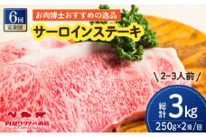 【6回定期便】 長崎和牛 サーロインステーキ 250g×2枚 長与町/ワタナベ商店 [ECT011] 国産 長崎和牛 和牛 サーロインステーキ サーロイン ステーキ さーろいん 2枚 牛肉 冷凍 ソース付き ギフト お祝い 定期 定期便