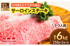【12回定期便】 長崎和牛 サーロインステーキ 250g×2枚 長与町/ワタナベ商店 [ECT012] 国産 長崎和牛 和牛 サーロインステーキ サーロイン ステーキ さーろいん 2枚 牛肉 冷凍 ソース付き ギフト お祝い 定期 定期便
