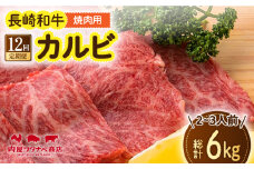 【12回定期便】 長崎和牛 焼肉 カルビ 約500g 長与町/ワタナベ商店 [ECT024] 国産 長崎和牛 和牛 カルビ かるび カルビ肉 焼き肉 牛肉 冷凍 ソース付き ギフト お祝い 定期 定期便