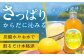 国産レモン 自家製 レモネード れもねーど レモネードベース レモネードシロップ レモン果汁 レモンスカッシュ レモンティー