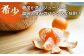 盛田 もりた みかん 柑橘 果物 くだもの フルーツ 季節限定 希少 温州みかん ミカン 5kg 産地直送 長崎県産 長与町