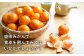 盛田 もりた みかん 柑橘 果物 くだもの フルーツ 季節限定 希少 温州みかん ミカン 5kg 産地直送 長崎県産 長与町