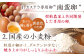 カステラ 長崎カステラ ギフト スイーツ 熨斗 人気 お菓子 和菓子 常温 かすてら ざらめ ザラメ 文明堂