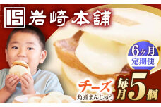 【6回定期便】【簡易包装】チーズ角煮まんじゅう5個 長与町/岩崎本舗 [EAB111] チーズ チーズ角煮まんじゅう 角煮 かくに 角煮まん 長崎 岩崎 岩崎本舗 定期 定期便