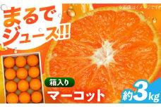 マーコット約3kg 長与/JAじげもん長与直売所 [EAF006]