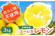 【ご家庭用】 ユーレカレモン 3kg 長与町/果豊園 [ECL006]