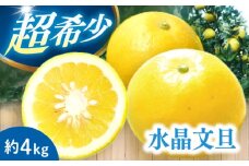 【ご家庭用】 水晶文旦 約4kg（8-14玉） 長与町/果豊園 [ECL007]