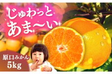 原口みかん 5kg（箱込み） 長与町/岩永農園 [EAZ004]