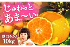 原口みかん 10kg（箱込み） 長与町/岩永農園 [EAZ005]