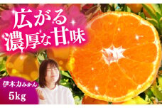 伊木力みかん 5kg（箱込み）長与町/岩永農園 [EAZ006]