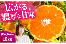 伊木力みかん 10kg（箱込み）長与町/岩永農園 [EAZ007]