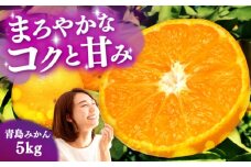 青島みかん 5kg（箱込み）長与町/岩永農園 [EAZ008]