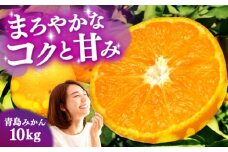 青島みかん 10kg（箱込み）長与町/岩永農園 [EAZ009]