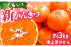 【ご家庭用】 津之望約3kg（つののぞみ） 長与町/果豊園 [ECL008]