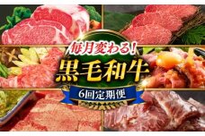 【6回定期便】　毎月お届け内容が変わる！黒毛和牛ぴったり50万円定期便 長与町/岩永ホルモン [EAX211]
