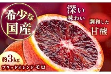 【ご家庭用】 ブラッドオレンジ（モロ）約3kg 長与町/果豊園 [ECL011]