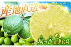 【長崎県長与町産】璃の香 （ りのか ） 約3kg レモン ー2025年8月下旬より発送ー 長与町/井上柑橘園 [EAA005] りのか レモン 3kg フルーツ 果物 くだもの 果実 柑橘 檸檬 れもん 先行予約 レモンティ レモネード 国産 産地直送